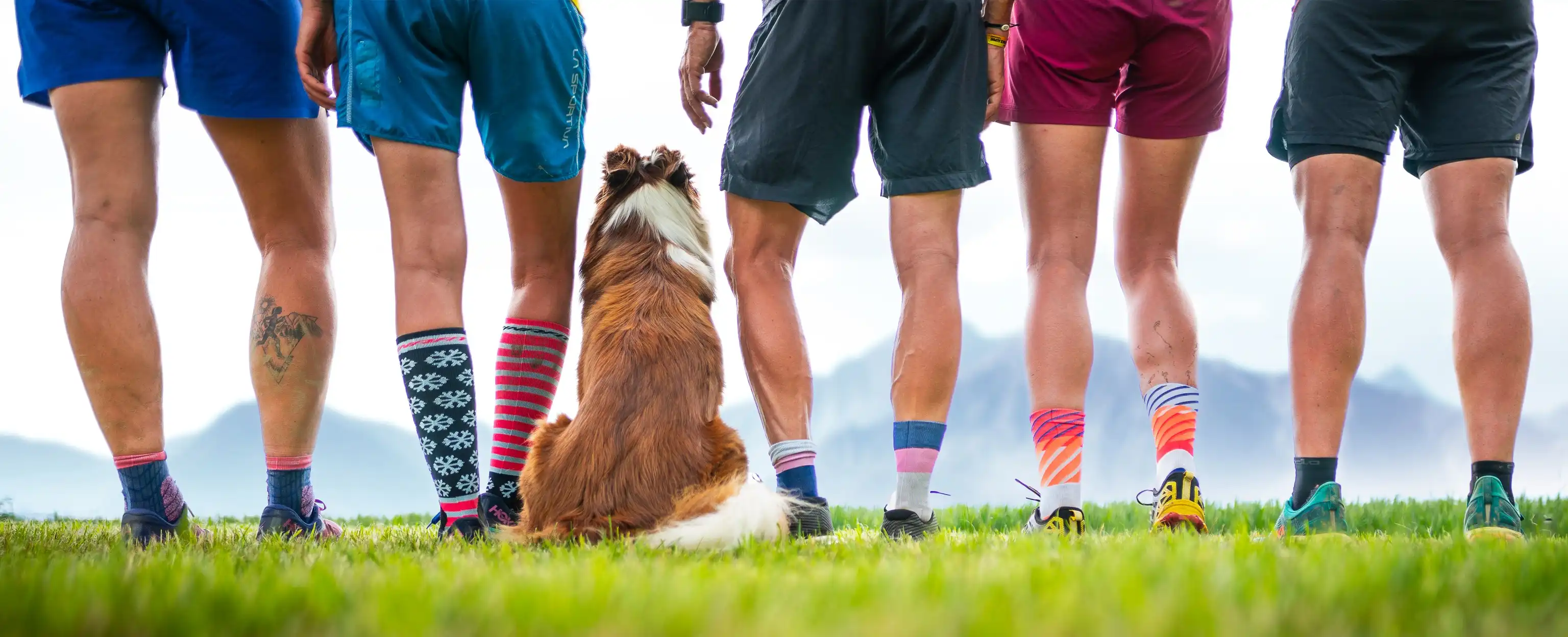 Willkommen bei "trails - mehr als laufen"!